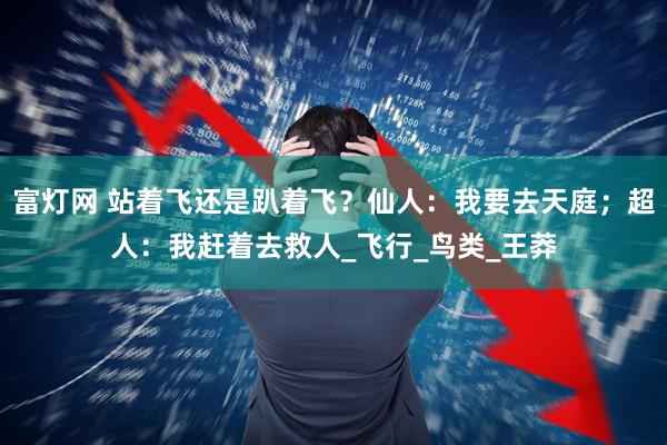 富灯网 站着飞还是趴着飞？仙人：我要去天庭；超人：我赶着去救人_飞行_鸟类_王莽