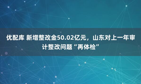 优配库 新增整改金50.02亿元,山东对上一年审计整改问题“再体检”