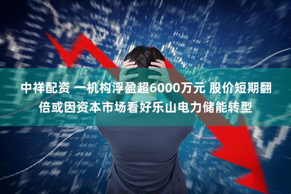 中祥配资 一机构浮盈超6000万元 股价短期翻倍或因资本市场看好乐山电力储能转型