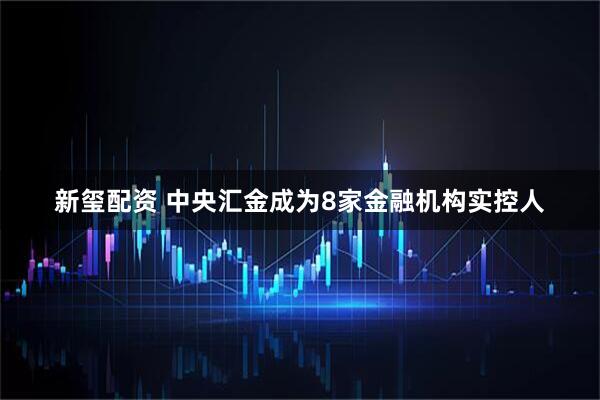 新玺配资 中央汇金成为8家金融机构实控人