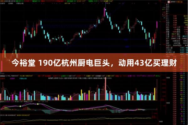 今裕堂 190亿杭州厨电巨头，动用43亿买理财