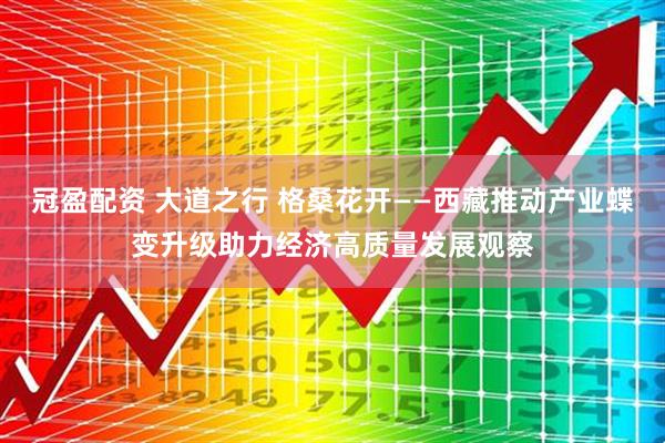 冠盈配资 大道之行 格桑花开——西藏推动产业蝶变升级助力经济高质量发展观察