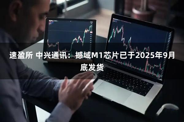 速盈所 中兴通讯：撼域M1芯片已于2025年9月底发货