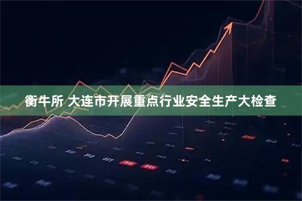 衡牛所 大连市开展重点行业安全生产大检查