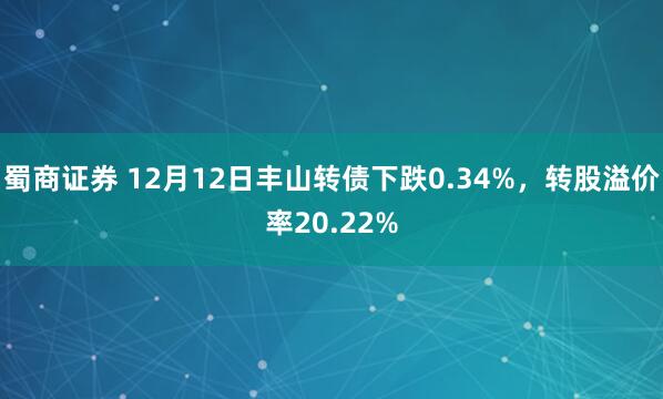蜀商证券 12月12日丰山转债下跌0.34%，转股溢价率20.22%