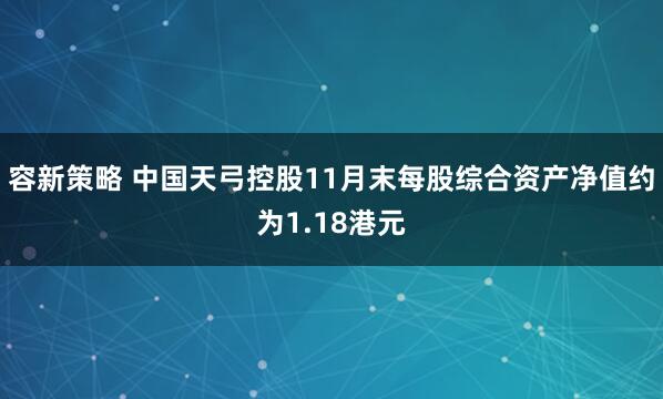 容新策略 中国天弓控股11月末每股综合资产净值约为1.18港元